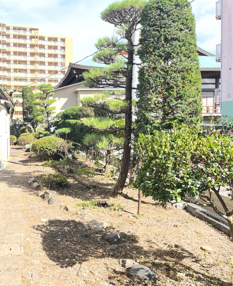 安曇野市の庭全体の作業後