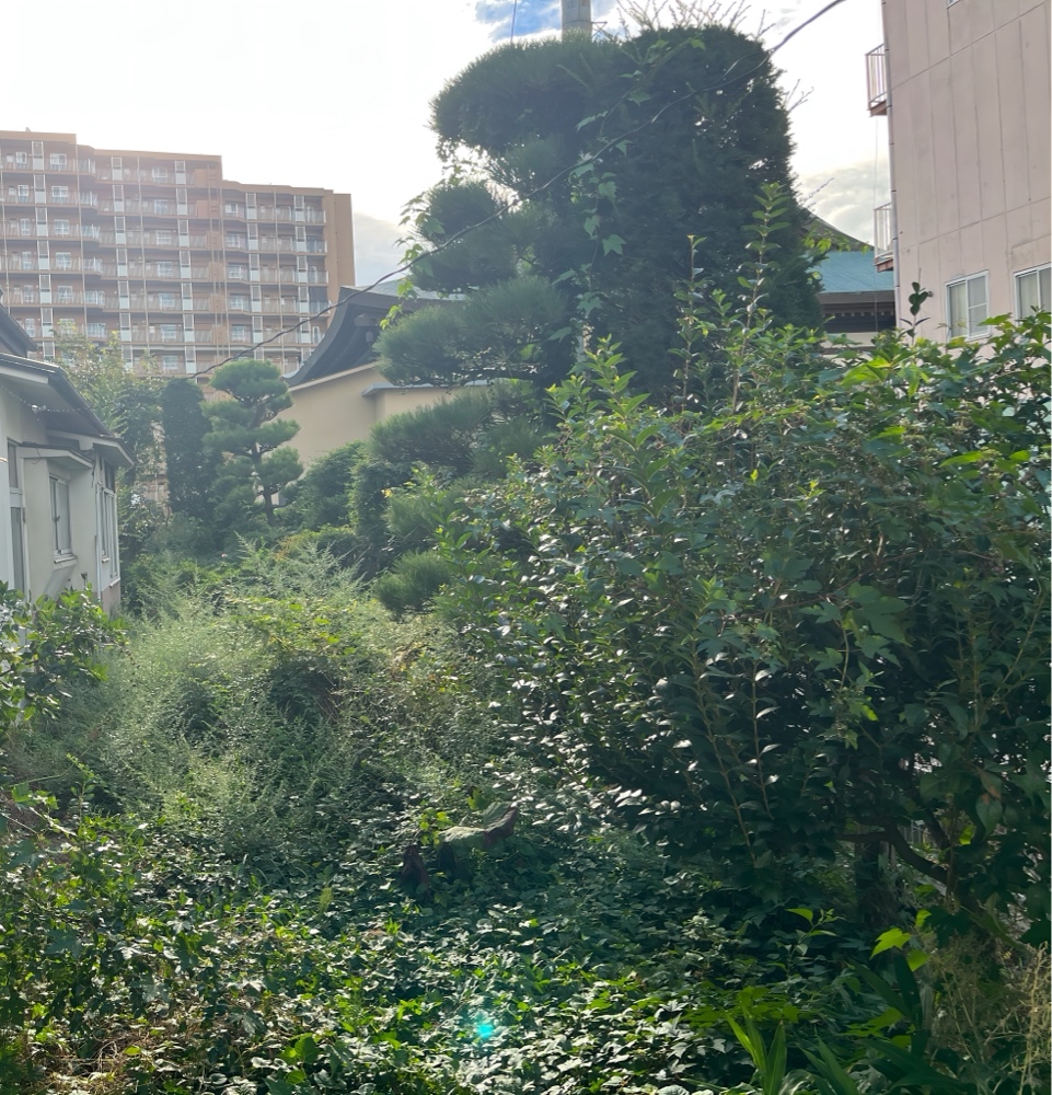 安曇野市の庭全体の作業前